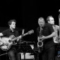 Ari Hoenig Quartet - (D300_11641)