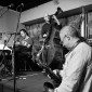 The Mark Ginsburg Band - (D300_14430)