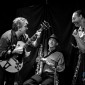 The Sydney Jazz Trio - (D700_8672)