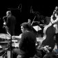 Songbird Project - (D3S_24779)