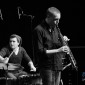 Songbird Project - (D3S_24839)
