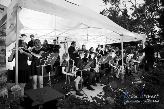 Telopea Park School Jazz Band - (D700_12322)