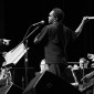 Nyilipidgi - (D3S_40007)