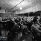 Audience - (xe3_03165)